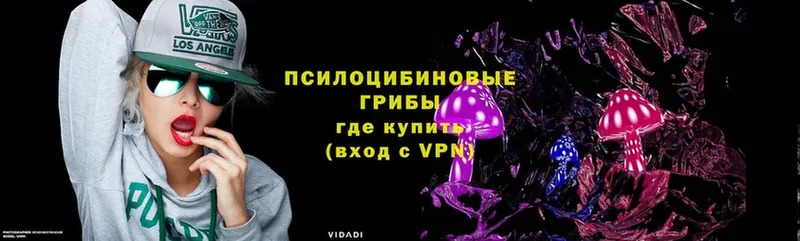 Псилоцибиновые грибы Magic Shrooms  купить  цена  Абаза 